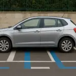 Parcheggio sulle strisce blu e bianche: differenze reali e trucchi per evitare multe